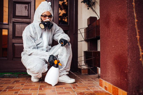 Reliable Cockroach Control contractor in Micco, FL by Nex Pest Control
